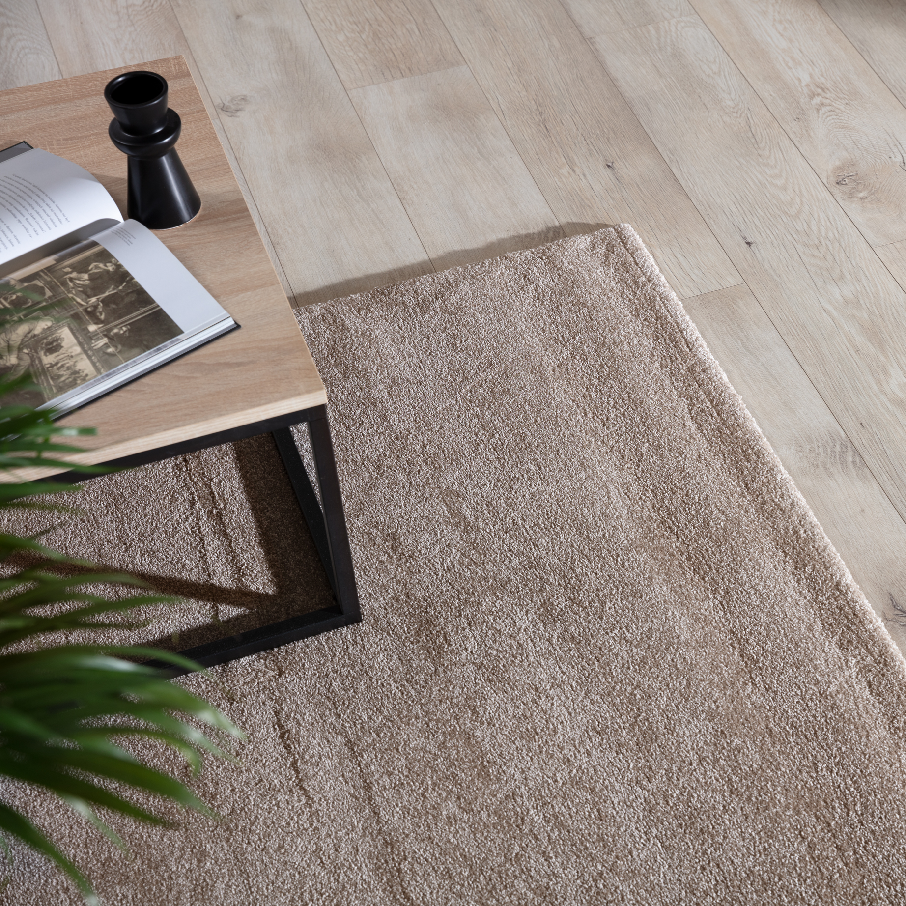 Verlice bēšs 160x230 — 5 attēls