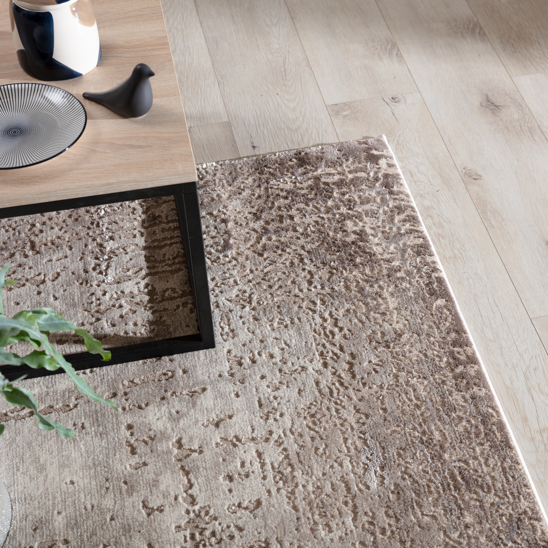 Codrila bēšs 160x220 — 5 attēls