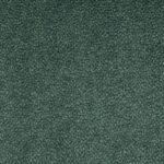 Burbulis-12