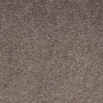 Burbulis-5