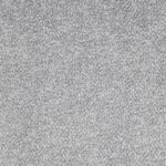 Burbulis-6