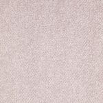 Burbulis-8