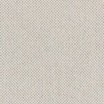 Curio-02