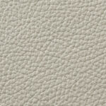 EV-41_Light_Grey