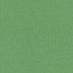 Focus_68047