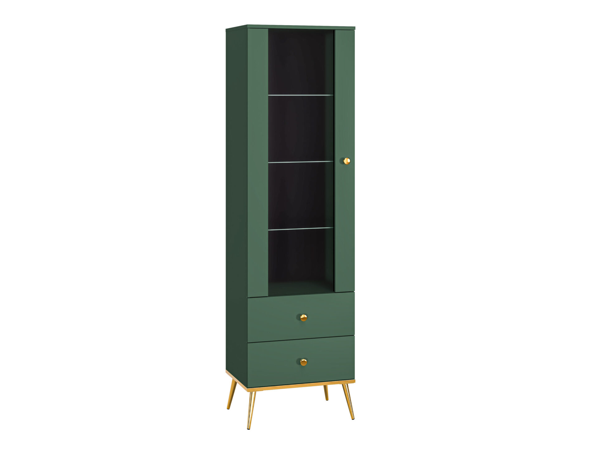 Forest 01 labradora retrīvera kucēns – 1D2S izstāde