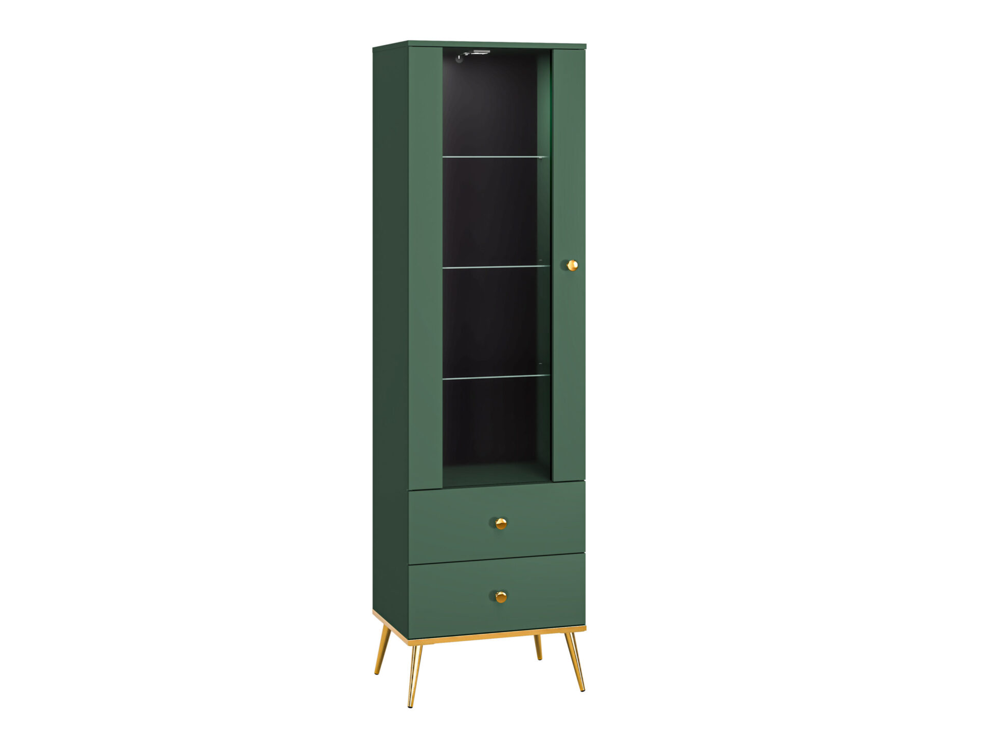 Forest 01 labradora retrīvera kucēns – 1D2S izstāde — изображение 2