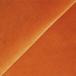 Salvadora-14