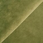 Salvadora-8