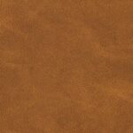 Vintage-215 Cognac