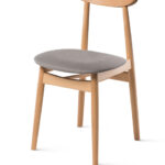 Finn A-1609 Fameg