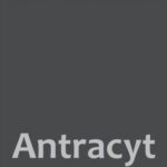 antracīta plīta