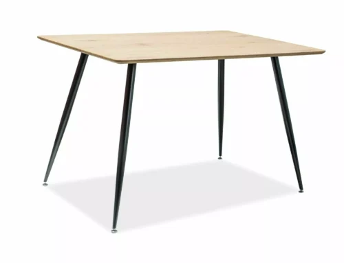 Remus galds REMUSD120