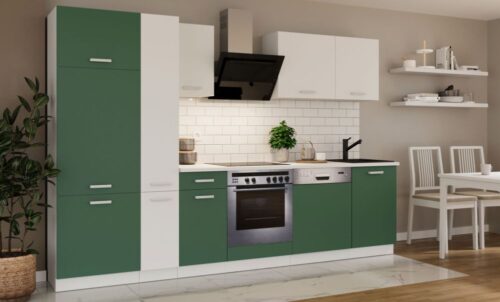 Virtuves komplekts ar darba virsmu, virtuve 300 cm Toni zaļš labradors