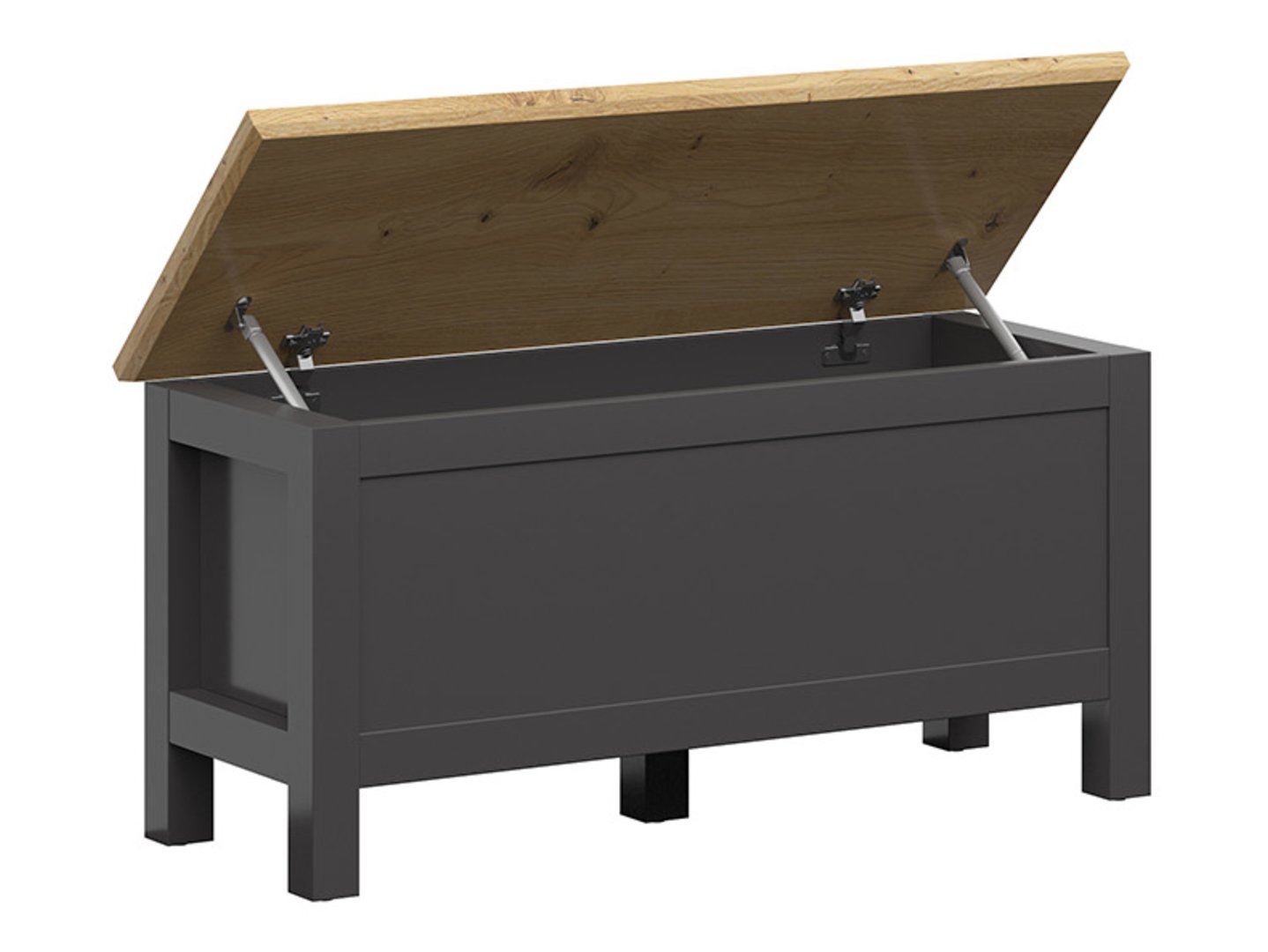 HESEN lāde 100 cm grafīta krāsā/amatnieciski ozolkoka krāsā — 3 attēls