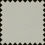 36_A9_2254