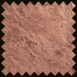 A10_2142