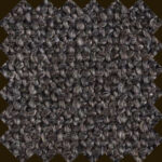 B6_06