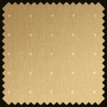 a4_1. lappuse_attēls02